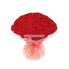 VIP bouquet of 201 red roses