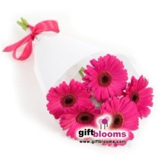 Hand-tied Bouquet of 5 pink gerberas
