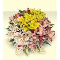 Bouquet Of Multi-Colored Alstroemeria Fairy Dream
