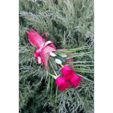 Bouquet of Flowers - 3