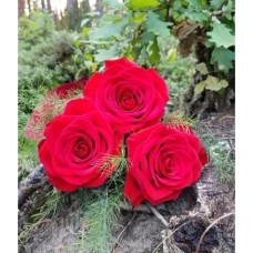Bouquet of Flowers "3 Red Roses"
