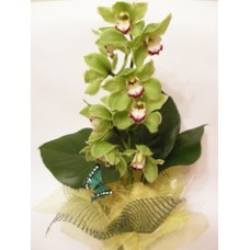 Bouquet of flowers - 6