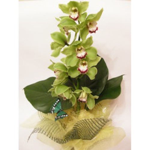 Bouquet of flowers - 6