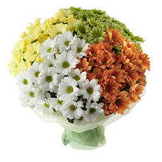Bouquet of 19 multi-colored chrysanthemums