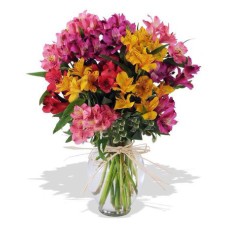 Many-Colored Alstroemeria Bouquet Salute