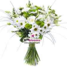 Bouquet of flowers My Gentle