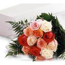Mixed color roses -1