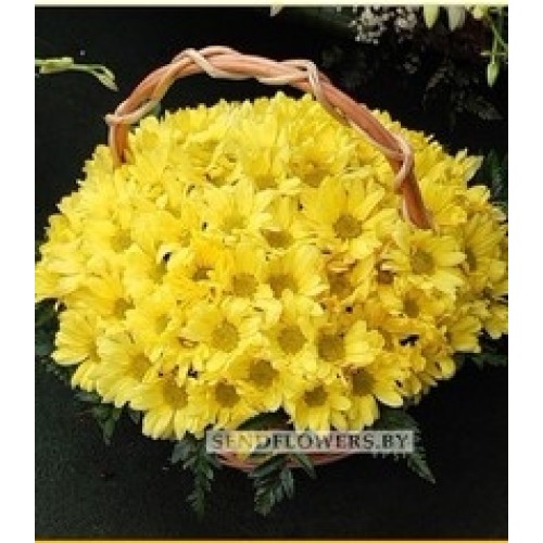 Flower Basket 