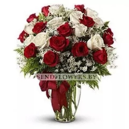 Bouquet of 25 Red and White Roses 