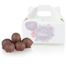 ChocoNuts Mini - Hazelnuts in chocolate