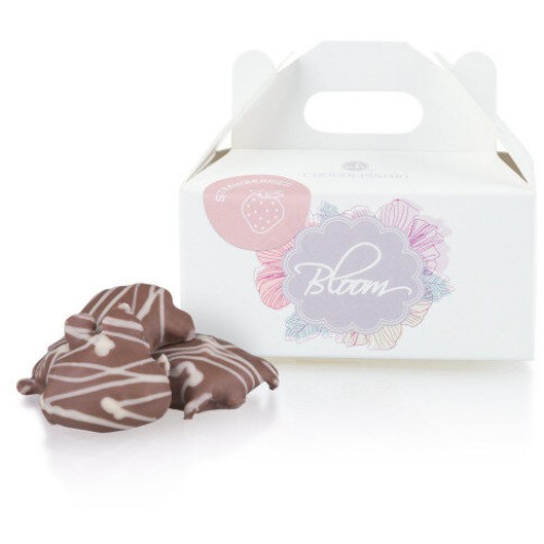 ChocoStrawberries Mini - Strawberries in chocolate