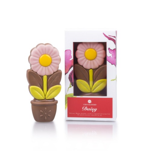 Daisy pink - pink chocolate flower