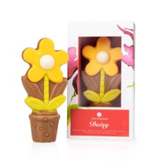 Daisy Yellow - Flower Made Of Chocolate Yellow