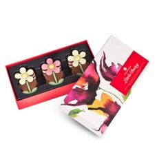 Little Daisy - Chocolate flower
