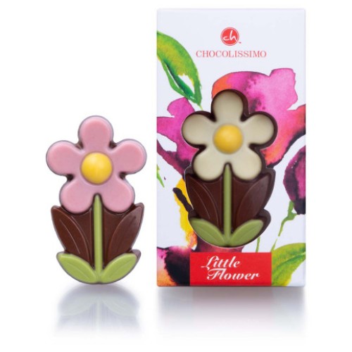 Chocolate Daisy