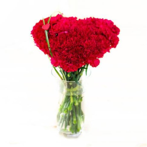 Carnation heart bouquet