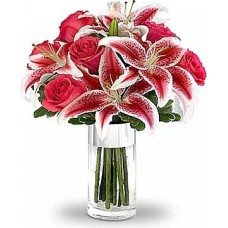 Mila (Standard arrangement)