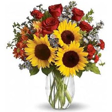 Annet (Premium arrangement)