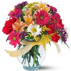 Happy rainbow (Standard arrangement)