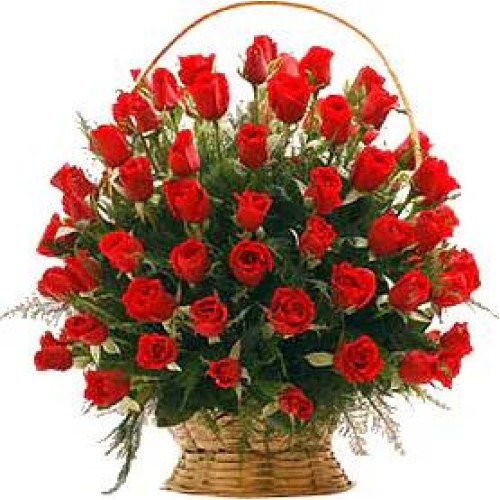 Light of passion (Standard arrangement)