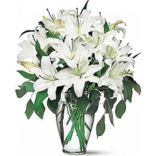 Perla (Standard arrangement)