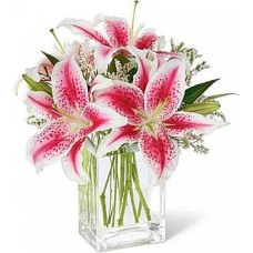 Manila (Standard arrangement)