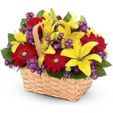 Miss Annette (Standard arrangement)
