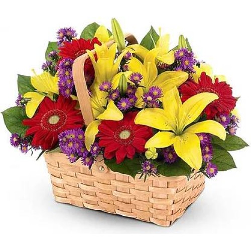 Miss Annette (Standard arrangement)