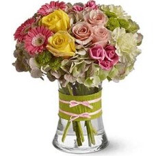 Goya (Standard arrangement)