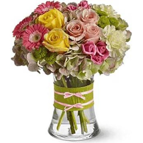 Goya (Standard arrangement)