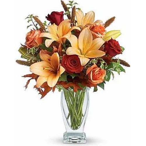 Dahlia (Standard composition)