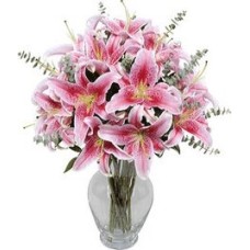 Lilium (Standard)