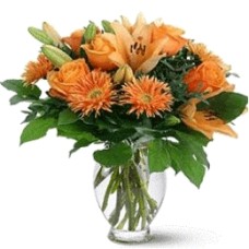 Orange Lilium (Large)