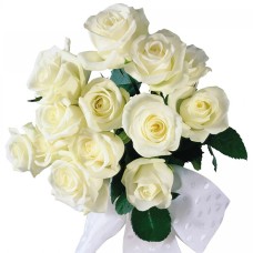 Pure White (Large)