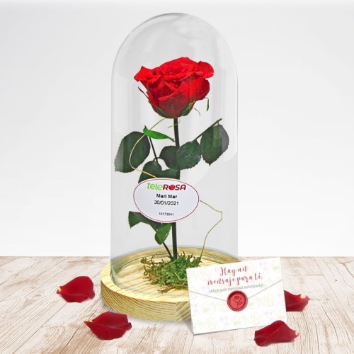Beauty & Beast Rose