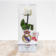 Eternal Rose RM