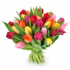 tulip bouquet (15 Tulips)