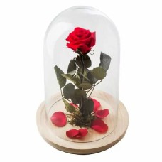 The enchanted rose