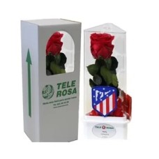 Eternal Rose Atlético de Madrid – Valentine's Day