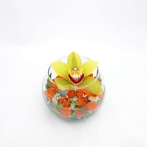 Orchid Bowl