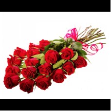 Red Passion