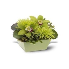 Shamrock