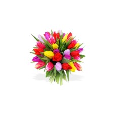 Splash Of Colors