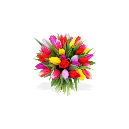 Splash Of Colors