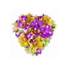 Tender Heart