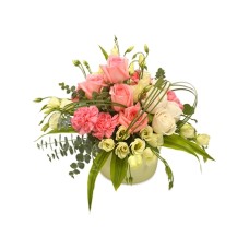 Saphir Rose