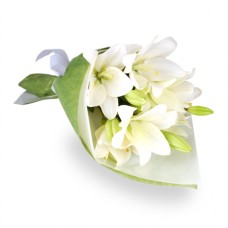 White Swan