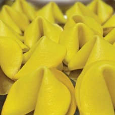 Color Fortune Cookie- Mellow Yellow