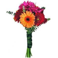 Simple Gerbera (11 Gerbera)