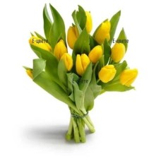 Yellow tulips